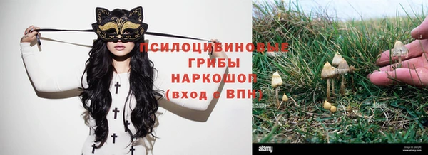 ECSTASY Алексин