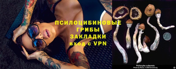 ECSTASY Алексин